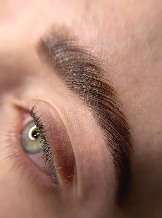 Close-up of a laminated brow, hairs brushed up and set, above a green eye