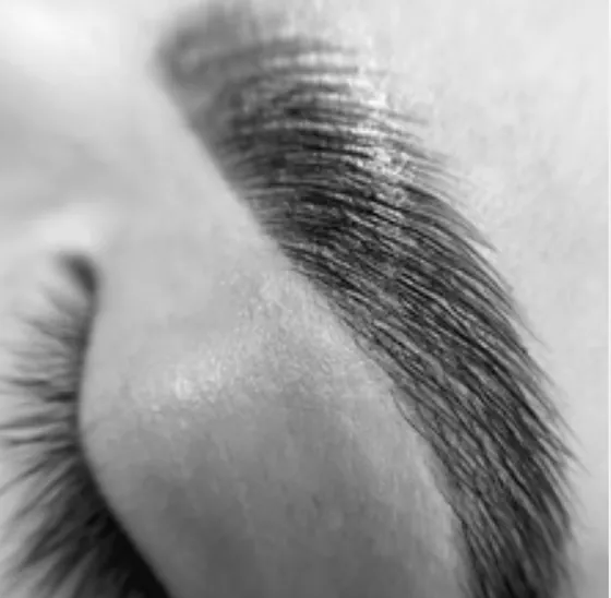 Black and white close-up of a laminated brow brushed up