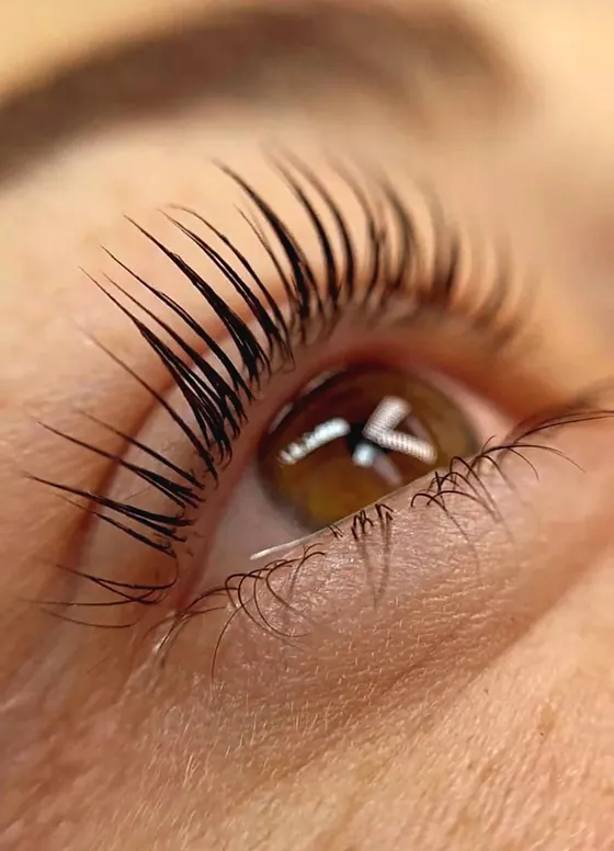 Macro of a brown eye with lifted, curled, tinted lashes