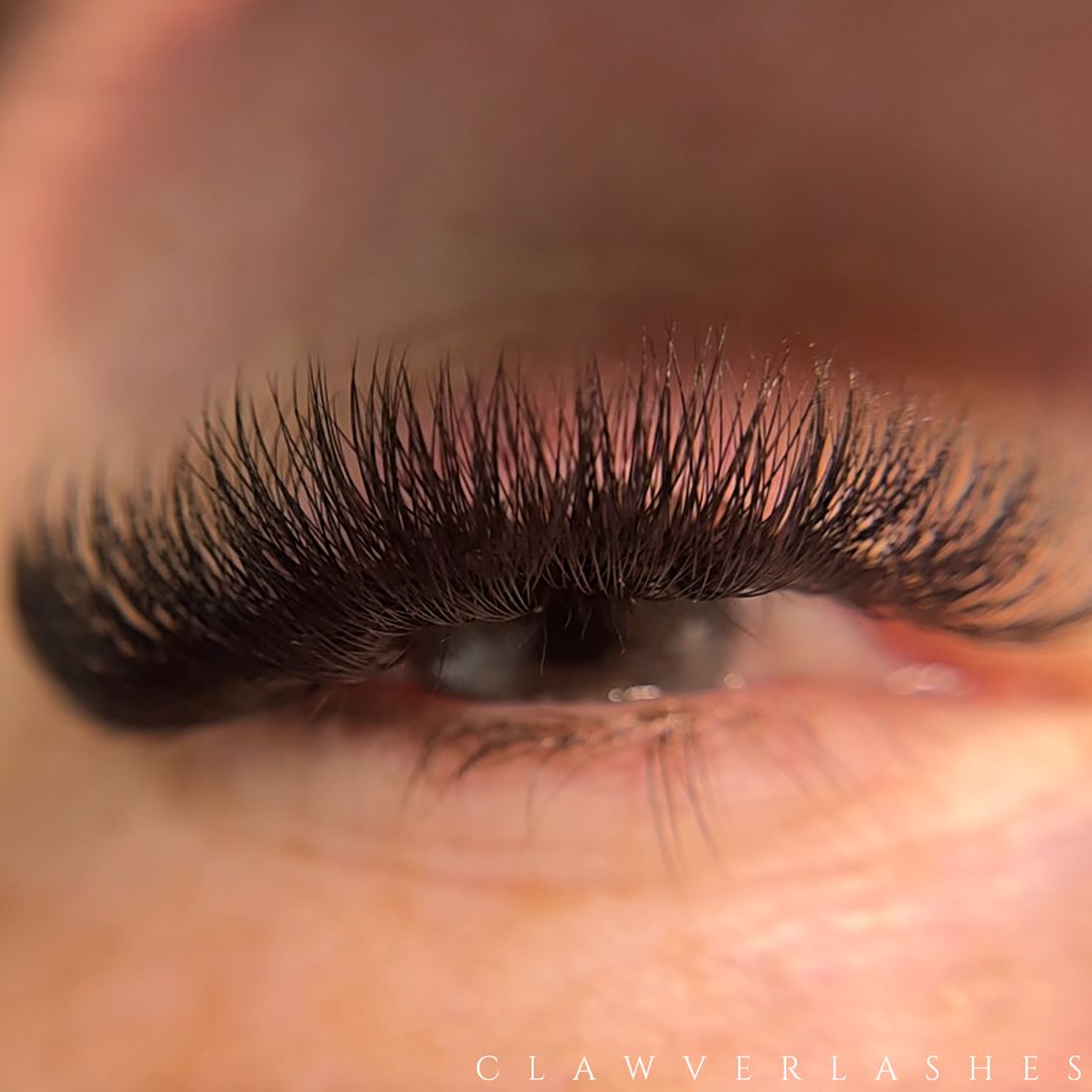 Close-up of a full, dark volume lash set