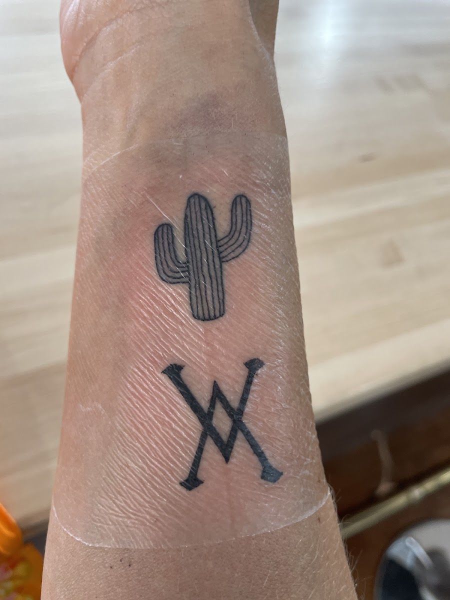 Small fine line cactus and linework tattoo on a forearm