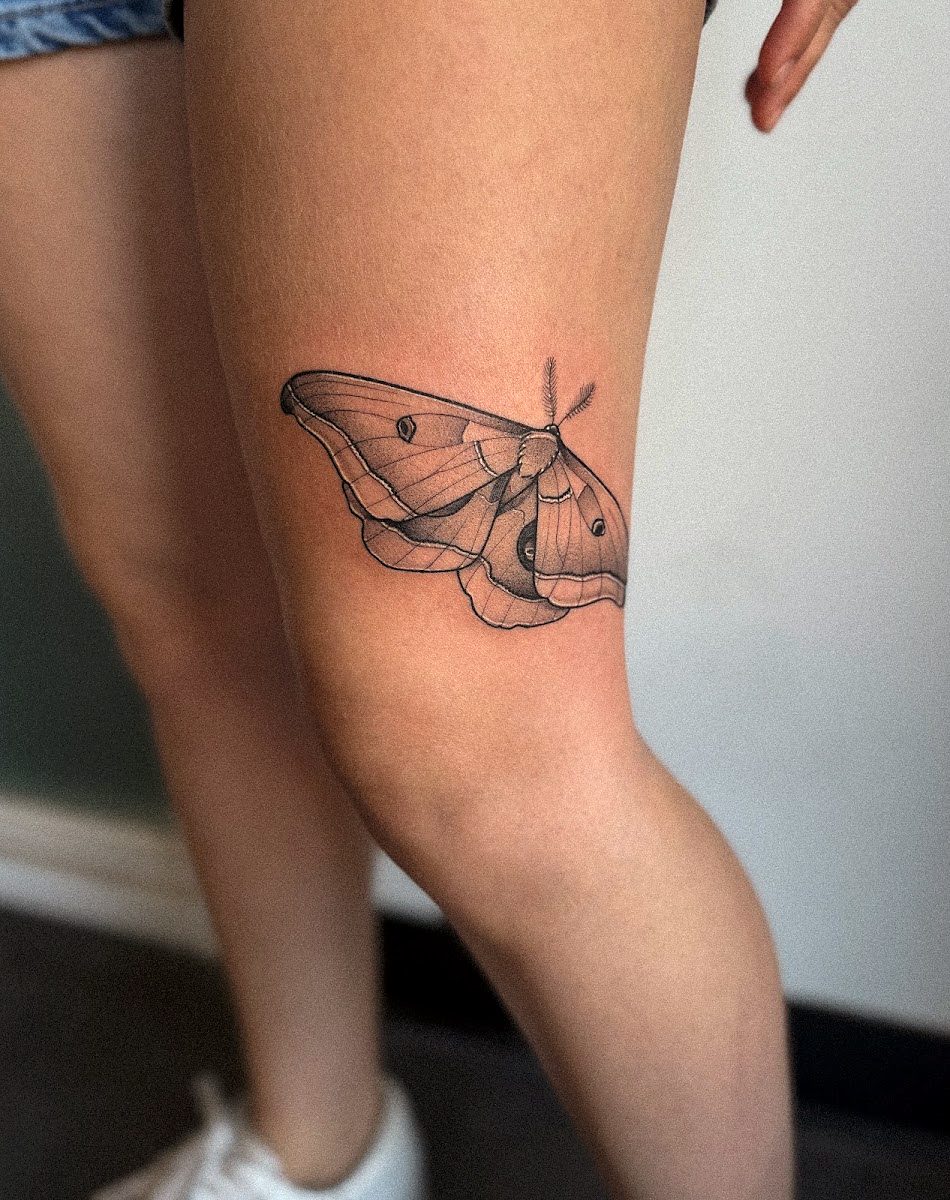 Fine line black and grey moth above a knee