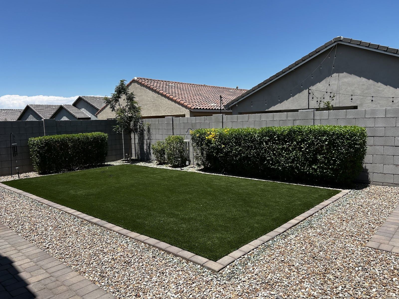 Backyard with a rectangle of green turf framed by a paver border and rock, hedges along the block wall