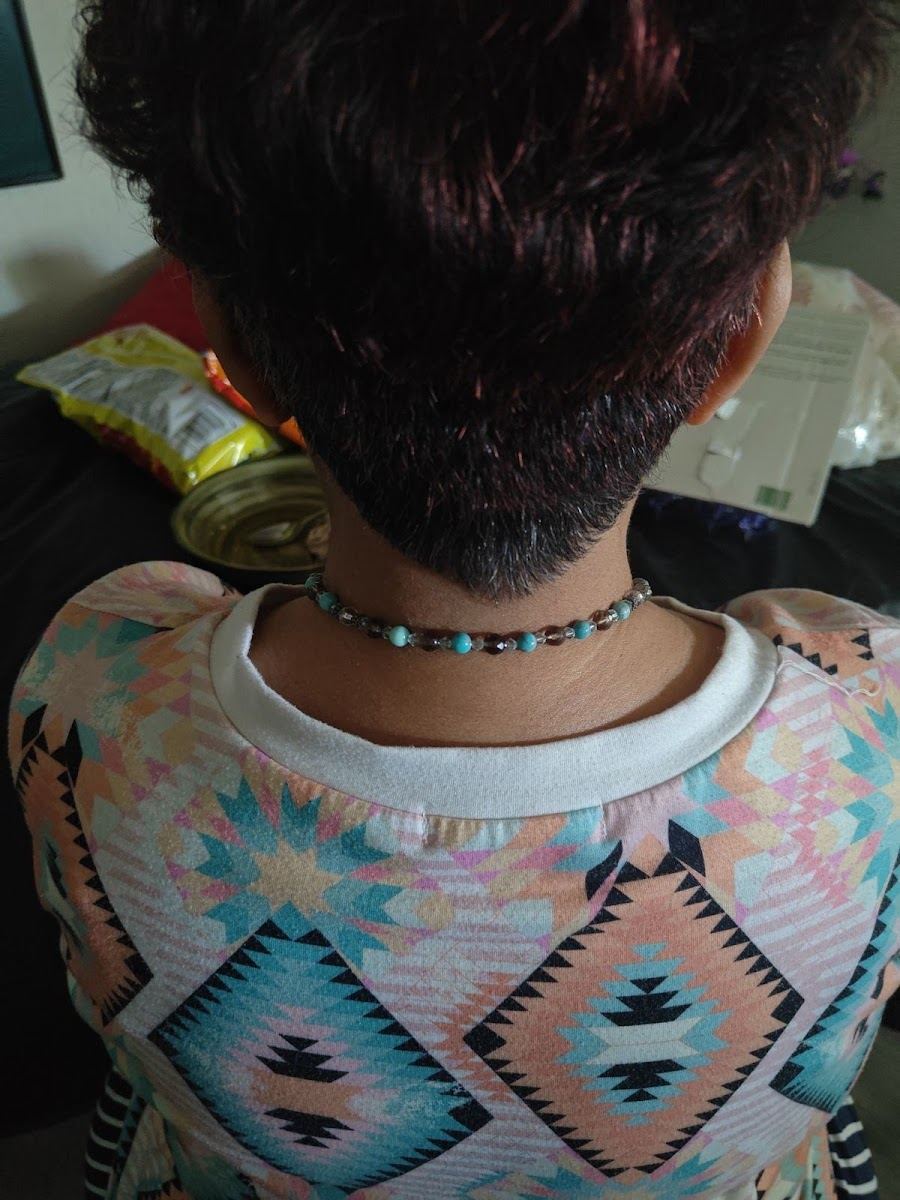 Short tapered cut seen from behind, clean nape line