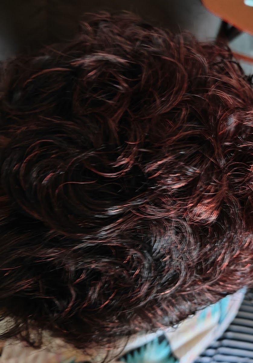 Short curly hair with deep burgundy color