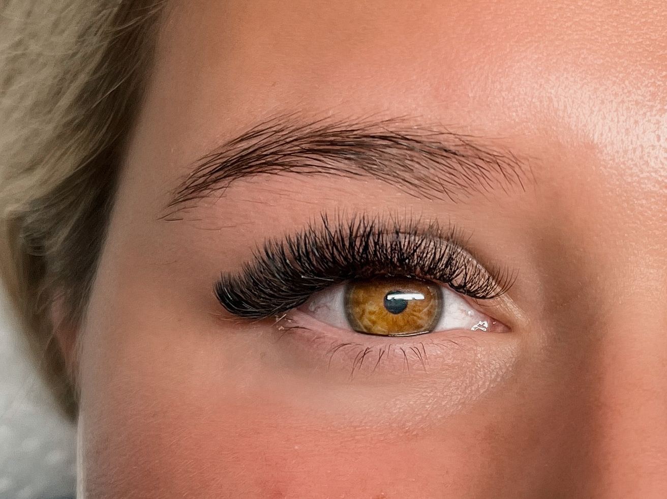 Close up of a fresh set of lash extensions on a brown eye