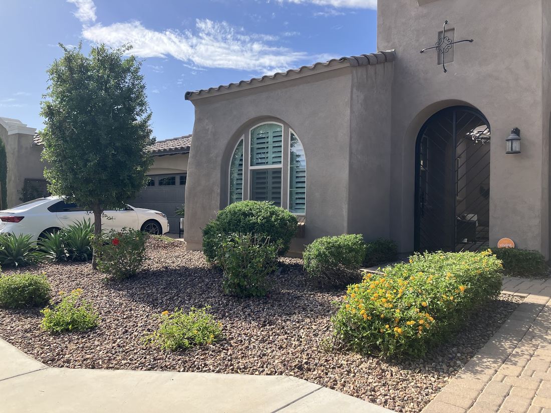 Front yard of a stucco home with desert rock, rounded shrubs and yellow flowering bushes