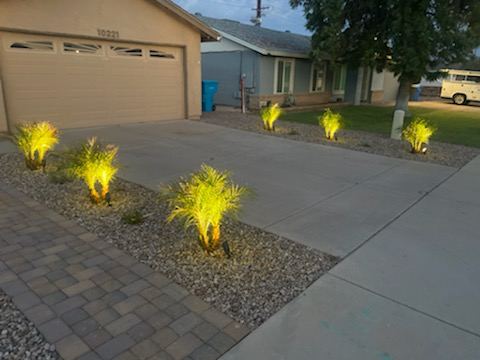 Driveway border of gravel and small palms lit at night