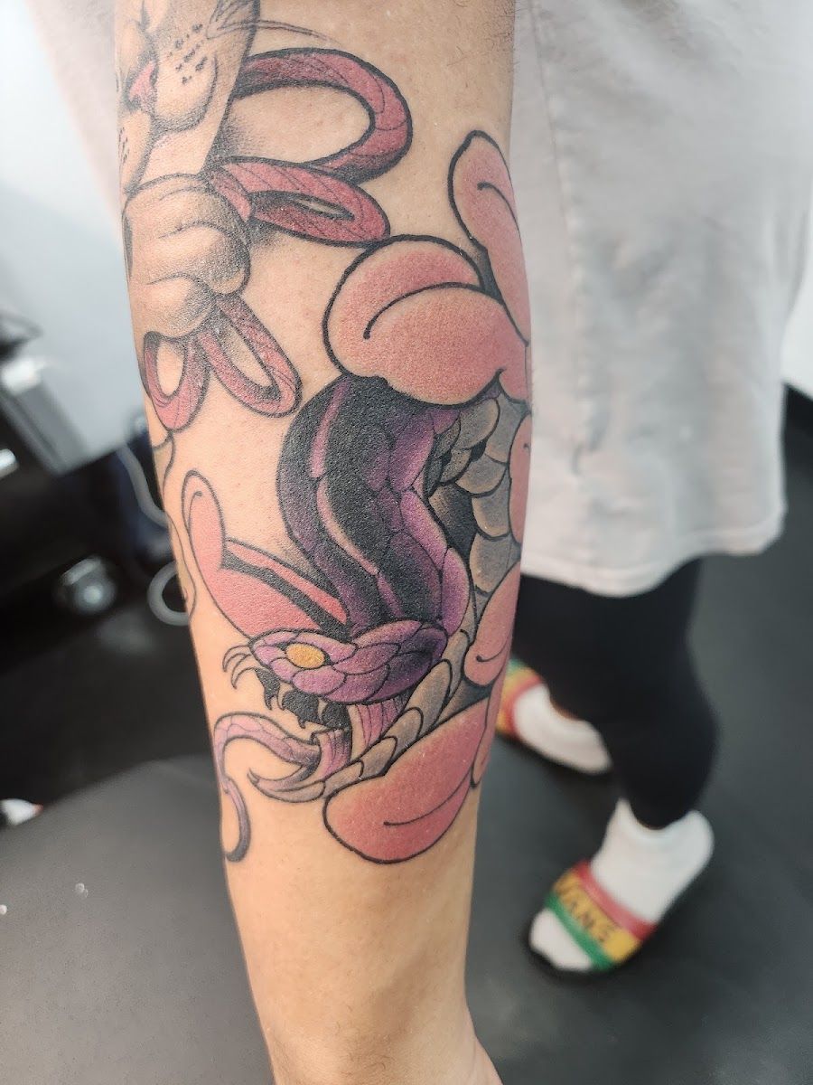 Color tattoo of a coiled snake on a forearm