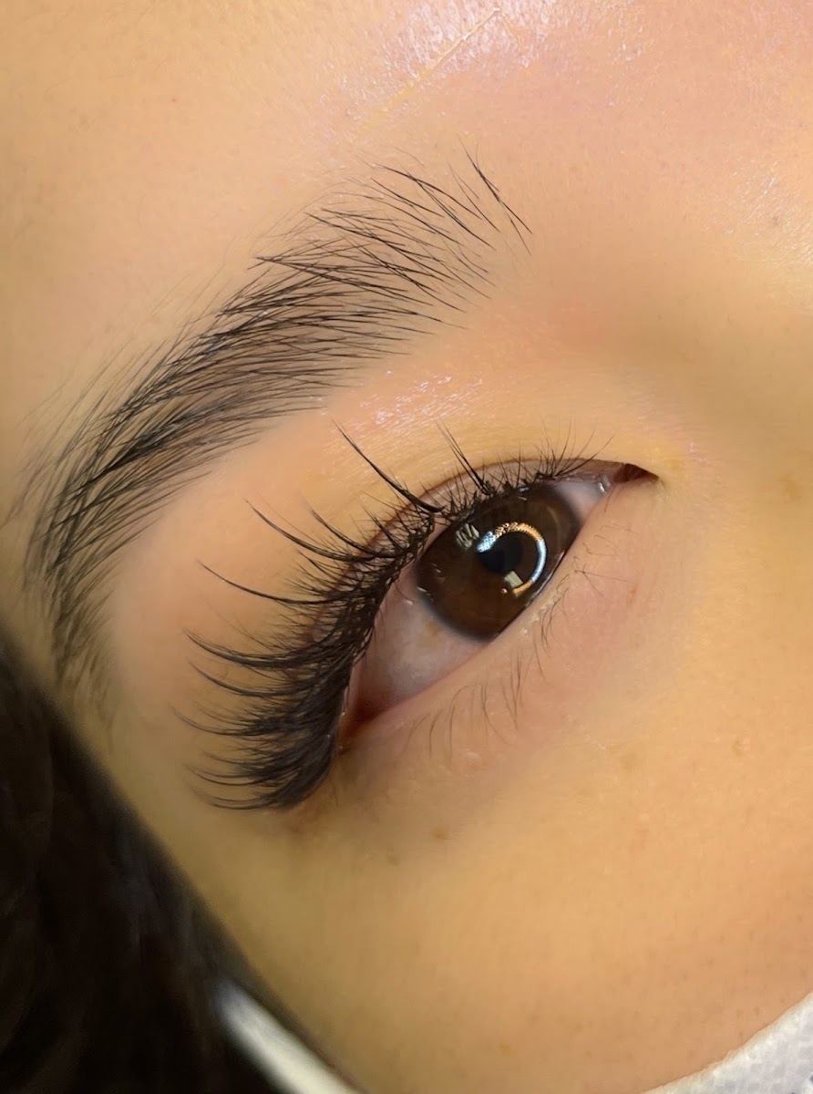 Soft wispy lash extensions on a brown eye