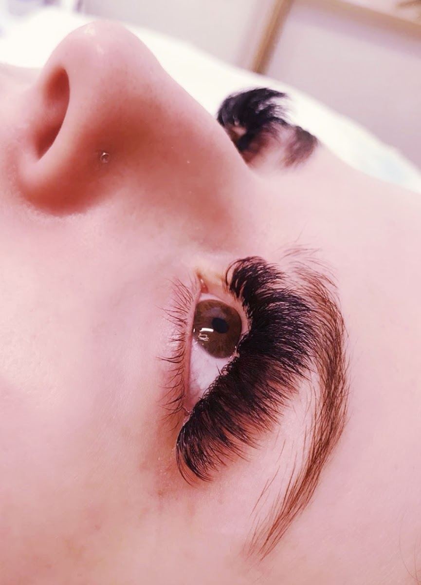 Dark full volume lash set seen from above