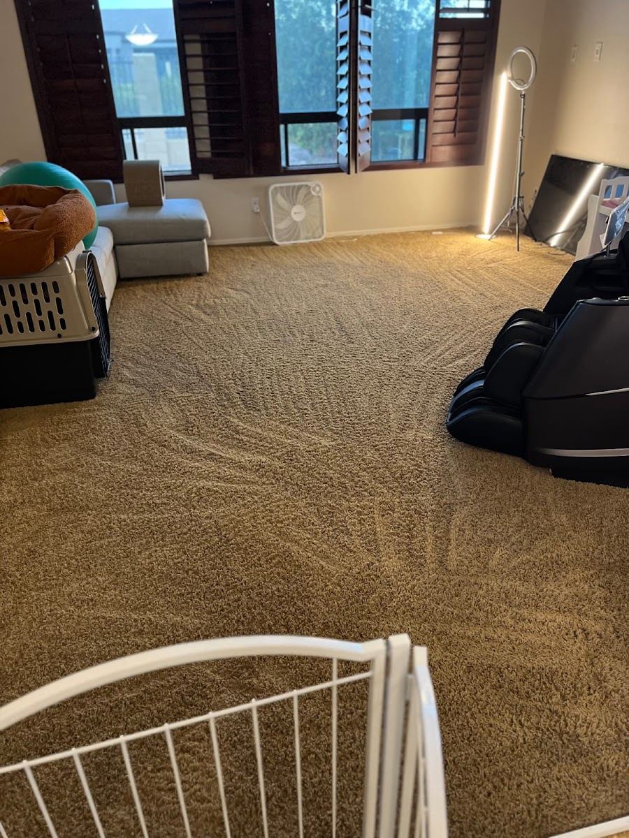 Freshly steam cleaned carpet with clean wand lines across a bedroom